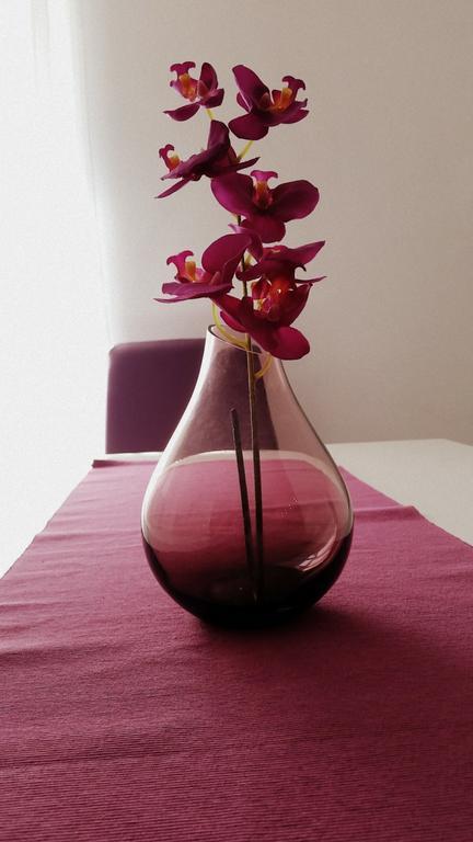 Apartment Soric Сен Екстериор снимка